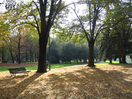 foto parco rignon 4